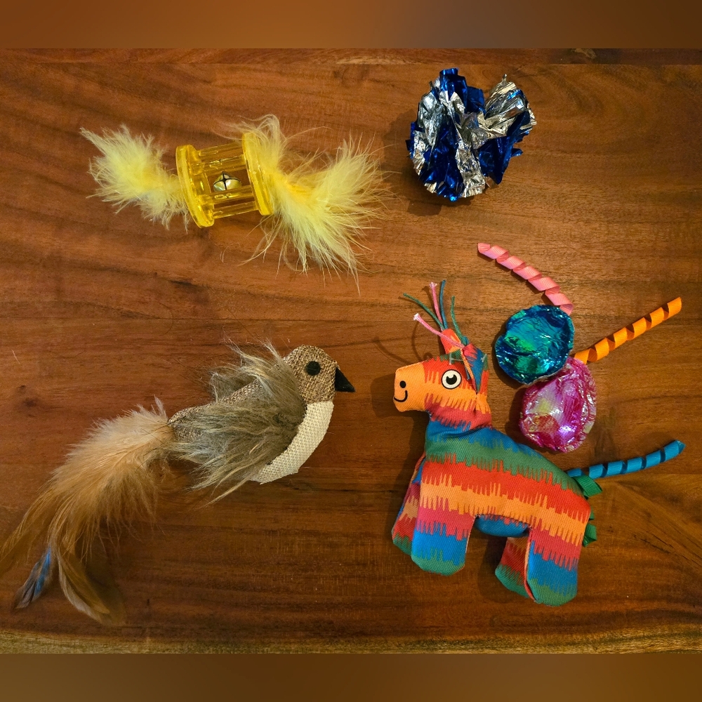 🐈 Bundle of Four Colourful Cat Toys with Enticing Sounds (Never Played With)